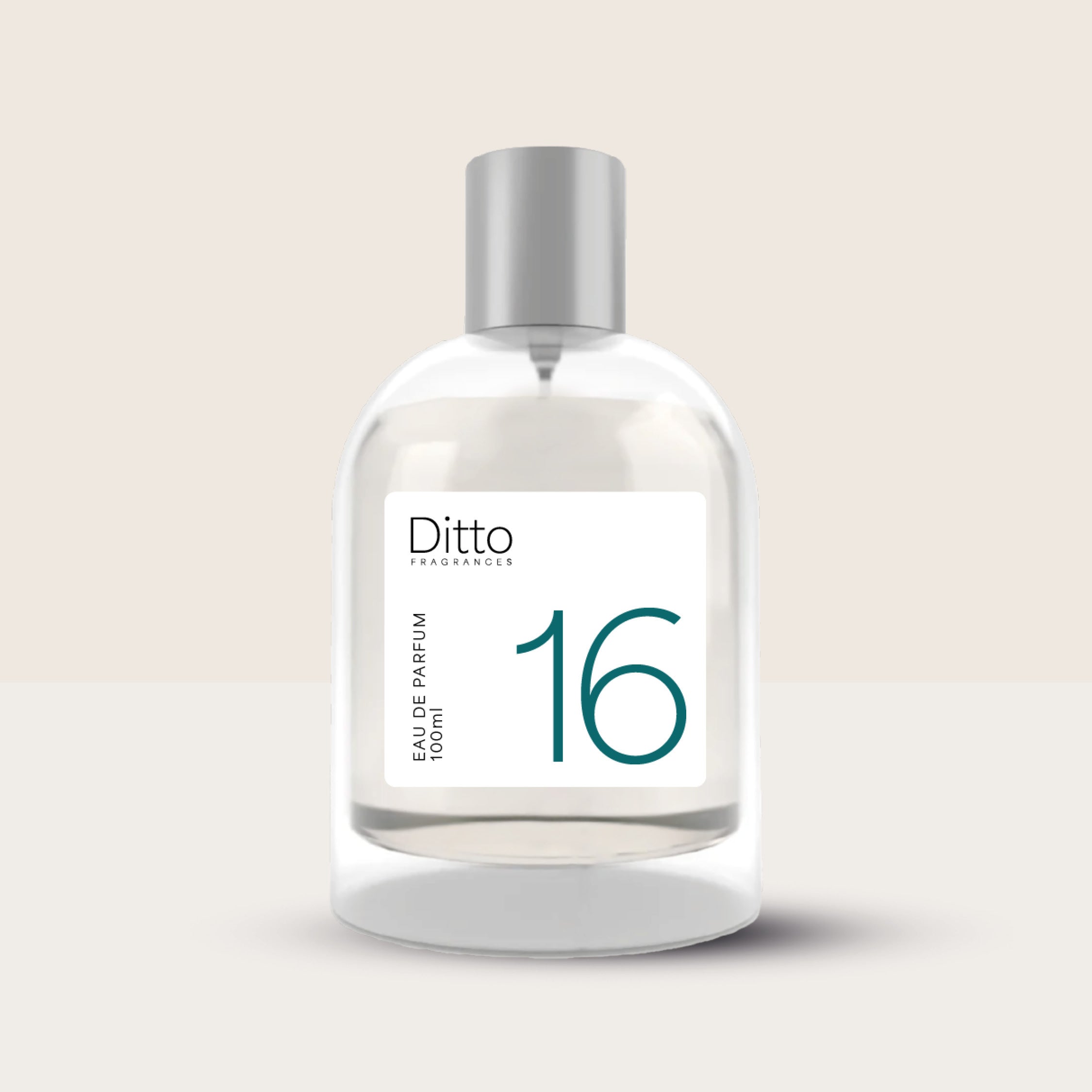 INSPIRED BY INVICTUS - 16 (MALE)